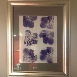 NWT One Of A Kind Purple Orchid Photograph